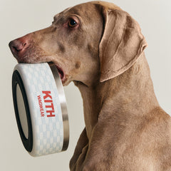 Kith for wagwear Metal Dog Bowl - Sandrift